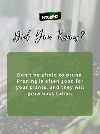 Hygrinz - Garden Maintenance Gardening Know-How: Tips & Techniques photo 8