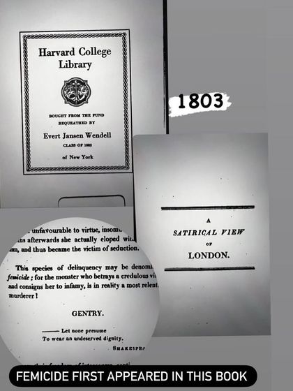 A fascinating discovery: the term "femicide" first appeared in this 1803 book. This kind of historical research adds depth to my understanding of the legal concepts I work with every day.