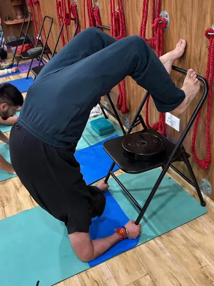 Props are not a crutch; they are tools for exploration. In this variation of a forearm stand, a chair provides stability, allowing the student to focus on building shoulder strength and finding balance in a challenging inversion.
