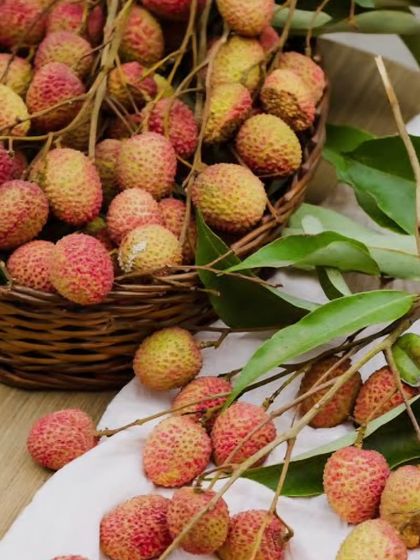 Neha Bhardwaj - Clinical Nutrition for Disease Management Food as Medicine: Know Your Ingredients photo 4