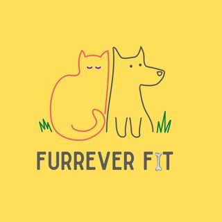 Furrever Fit