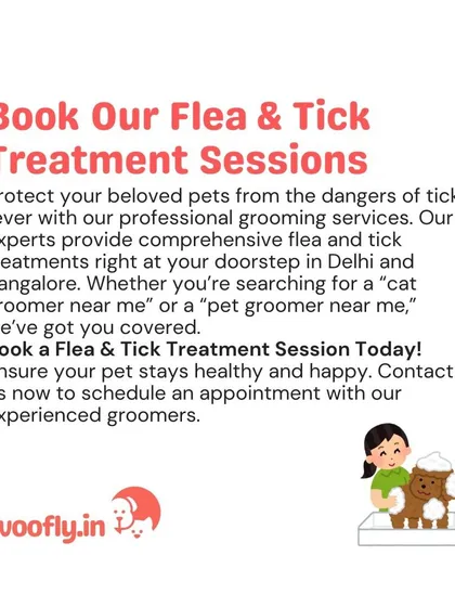 Don't let fleas and ticks bother your beloved pet. I offer professional, at-home flea and tick treatment sessions in Delhi and Bangalore to keep your dog or cat healthy, happy, and parasite-free.