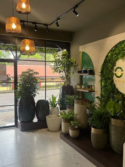 The entrance to our Kadri store, showing a wide, welcoming view of our collection. We're always here to help you find the perfect green addition to your home.