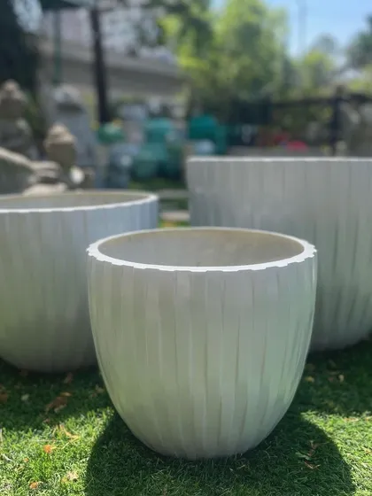 A trio of my new FRP planters in a clean white finish with a vertical ribbed texture. They are lightweight, durable, and super chic.
