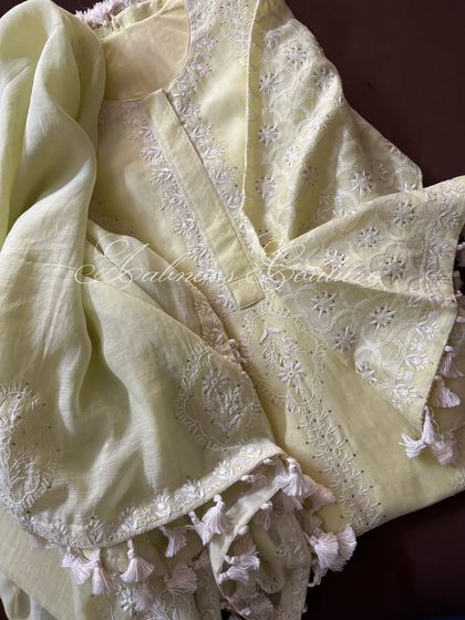 A close-up of the sleeve and dupatta, showing the harmony between the Chikankari patterns.