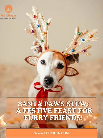 We've whipped up a special Santa Paws Stew recipe for the holidays. This festive feast combines your pooch's favorite meat with veggies and our air-dried mutton tripe for an extra punch of flavor.