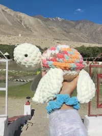 Crochet Decor & Accessories