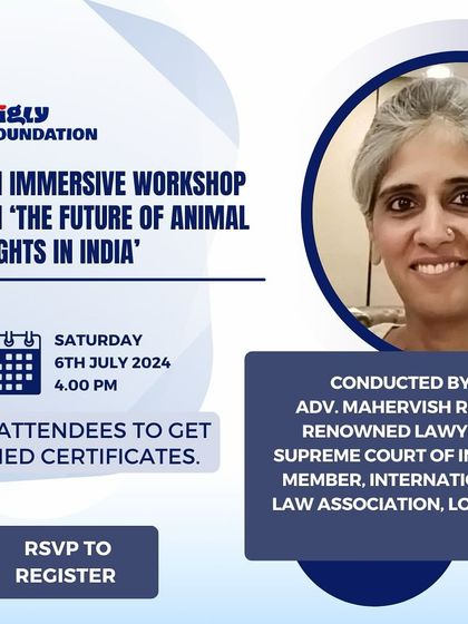 Zigly - Veterinary Services For the Love of All Animals: Community & Rescue Work photo 17