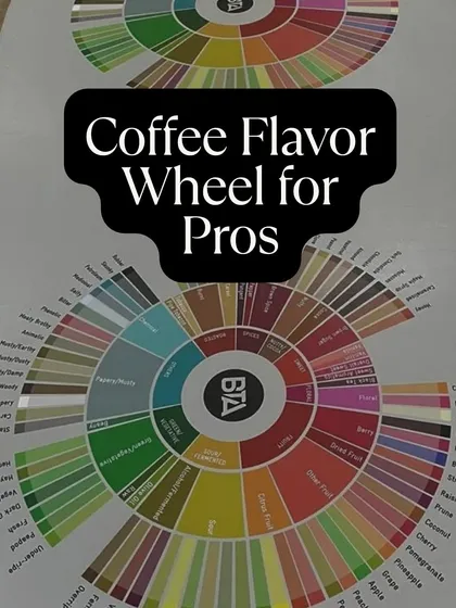 A guide to using the Coffee Taster's Flavor Wheel like a pro, a tool for identifying and describing coffee flavors with precision.