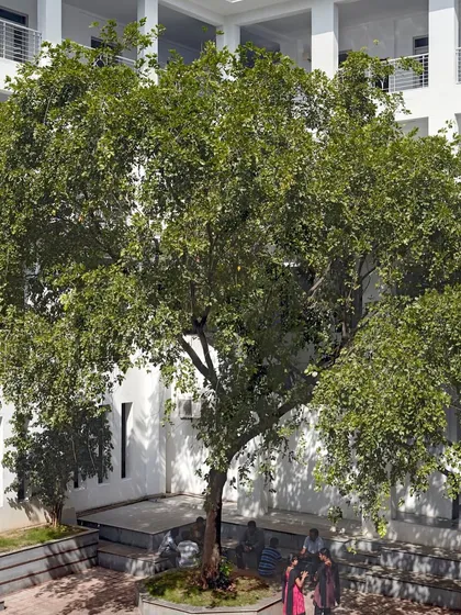 At the core of the Sona College campus, I preserved this mature tree, designing the courtyard around it. It now serves as a natural gathering point, a testament to the principle of building in harmony with the existing landscape.