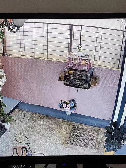 Sadwini Infotech - Security System Installation Residential Security Setups photo 64