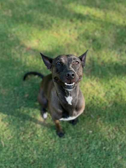 When the photographer tells you to give a natural smile. Jamun nailed it.