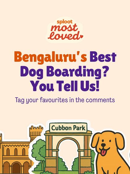 Bengaluru dog parents, we need your help! Nominate your favorite dog boarding homes and help us shine a light on the places that offer the best care for our furry family members.