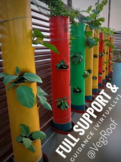 When you get my towers, you also get my full support and guidance virtually. I am with you at every step of your gardening journey.