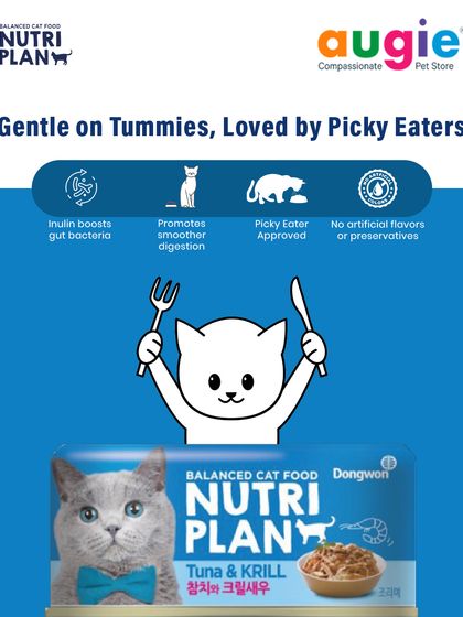 Augie Pets - Pet Supplies For Our Feline Friends: Premium Cat Nutrition photo 27