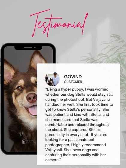 A wonderful testimonial from Govind, who was worried about his hyper puppy but was thrilled with how I captured Stella's personality.