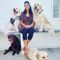 Preethi Pet Care
