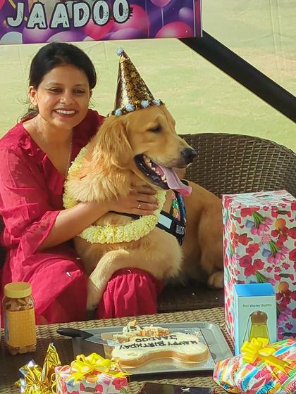 Fluffy Paws Pet Resort - Pet Cafe & Event Hosting Pawsome Birthday Parties photo 30