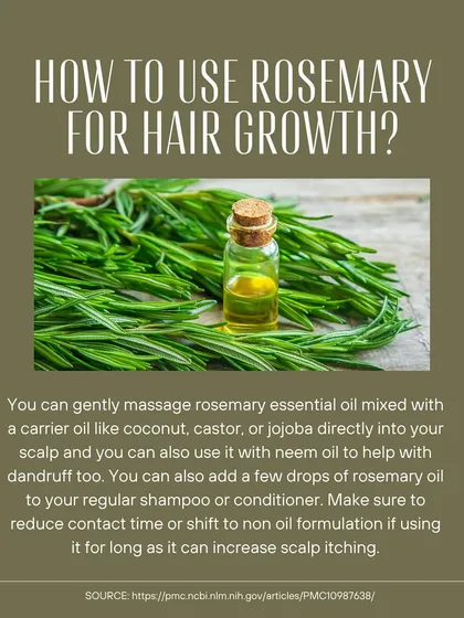 Here is how you can use rosemary essential oil for hair growth. You can mix it with a carrier oil for a scalp massage or add a few drops to your shampoo, but be mindful of contact time to avoid irritation.