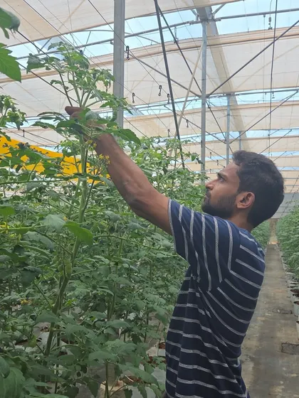 Glimpses of our one-week and one-month hydroponic trainees. These enthusiastic students get hands-on experience, learning everything from plant care to harvesting in our greenhouses.