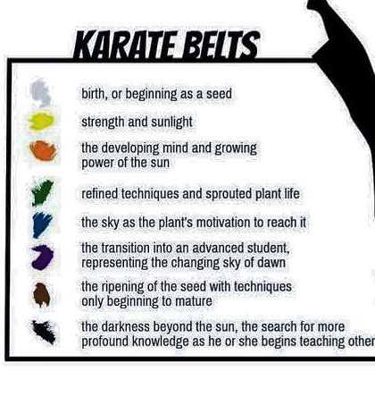 GD Sharma - Karate Training Karate Fundamentals photo 5