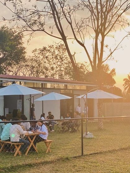 The Pawsome Camp - Dog Daycare & Boarding The Pawsome Playground: 2 Acres of Freedom photo 40