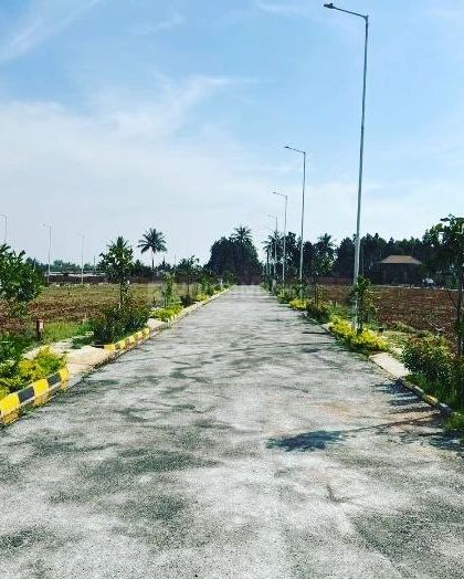 Morning Dews Landscapes - Landscape Design & Installation Large-Scale & Commercial Landscapes photo 3