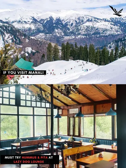 Foodie guide! If you visit Manali, you must try the hummus and pita at Lazy Dog Lounge. I'll show you the best spots.