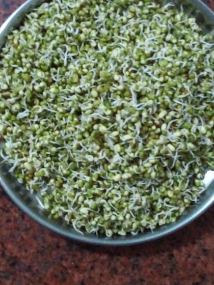 Shanthi Krishnan - Fitness & Performance Coaching Life, Fun & Everything In Between photo 4