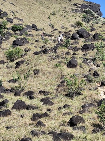 The rocky and grassy terrain of the Kumara Parvatha trail. It's a challenging path that requires good stamina.
