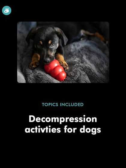 Decompression activities are crucial for helping a stressed dog. This is one of the key topics I cover in my Diwali workshop to help your dog cope with the festive season.