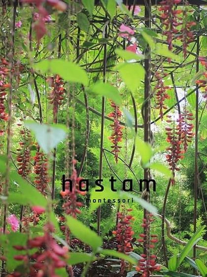 Hastam Montessori - Montessori Lab Access for Homeschoolers Beyond the Classroom: Play & Nature photo 3