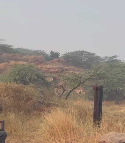 The serene landscape of the Aravali Nagar Van provides a stunning backdrop for the "Sound of Rewilding" community event.