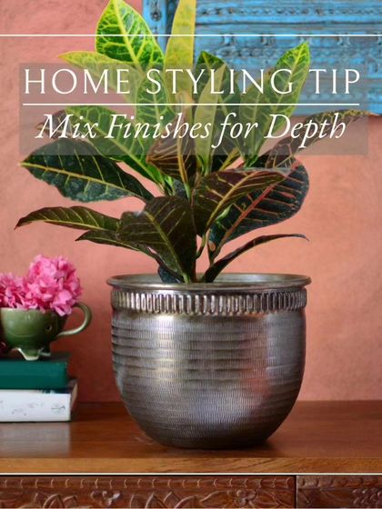 Thorny Affair - Pots & Planters Styling Your Green Sanctuary photo 3