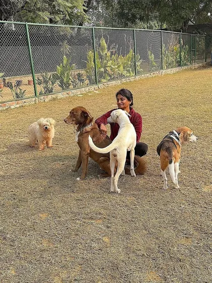 Surrounded by a diverse pack of dogs, Asha sits calmly as they gather around her. This image showcases her ability to be a grounding presence for multiple dogs at once, each one feeling seen and respected in the group.