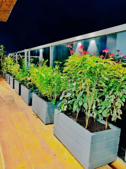 The same deck at night, showing how flowering plants add a pop of color. The clean lines of the grey planters create a modern look against the warm wooden flooring, making the space feel both lush and organized.