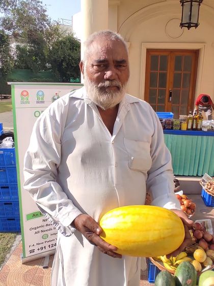 A farmer holding a large, yellow cucumber, a native variety grown on his farm.