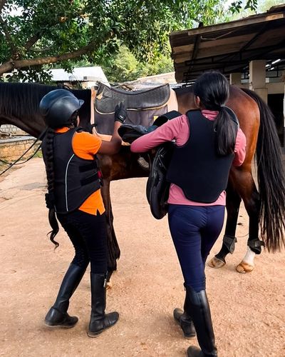 Equestrian Training