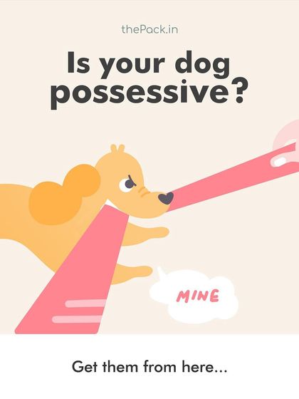 This graphic highlights the feeling of "Mine!" that dogs can have over their resources. My workshops teach you how to address this possessiveness constructively.