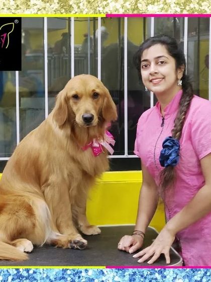 Fuzzy Wuzzy - Pet Grooming & Spa Spaniels, Retrievers & Large Breed Grooming photo 55