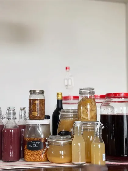 Another view of our ferments, showcasing different colors and ingredients. Each one has a unique flavor profile, from sweet and tangy to earthy and complex.