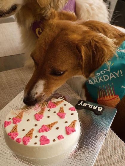 Another shot of Bailey and a friend sharing the ice cream cake. This design is perfect for a summer birthday party.