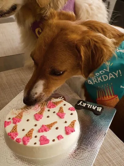 Another shot of Bailey and a friend sharing the ice cream cake. This design is perfect for a summer birthday party.