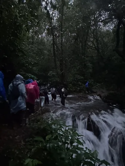 Our group making their way through a rushing stream in the heart of the Kudremukha forest, fully equipped with rain gear for the monsoon adventure.