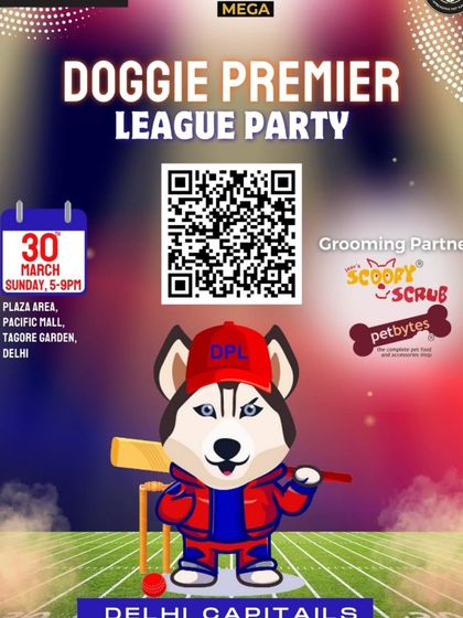 Our Community: Pet Events & Carnivals photo 4