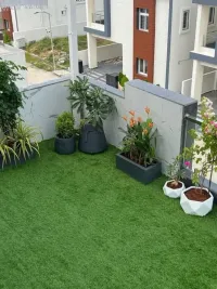 Landscape Design & Execution