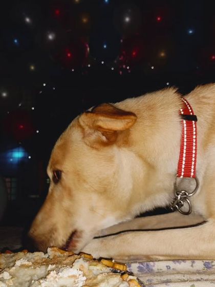 Alex enjoying every last crumb of his birthday cake under the festive lights. I set up the perfect ambiance to make the celebration feel magical.