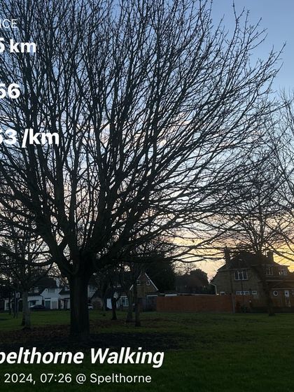 Additional Work & Moments photo 3