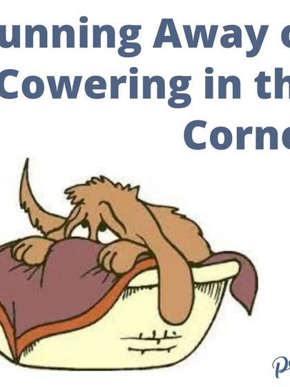 If your dog runs away or cowers in a corner, it's a clear sign of fear. My approach is to build their confidence so they learn to look to you for safety instead of hiding.