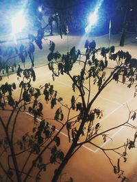 Tennis Coaching for Adults